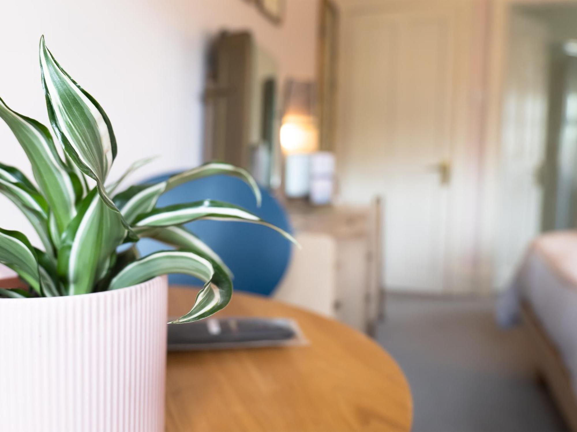 Wildwood B&B Lymington Bagian luar foto