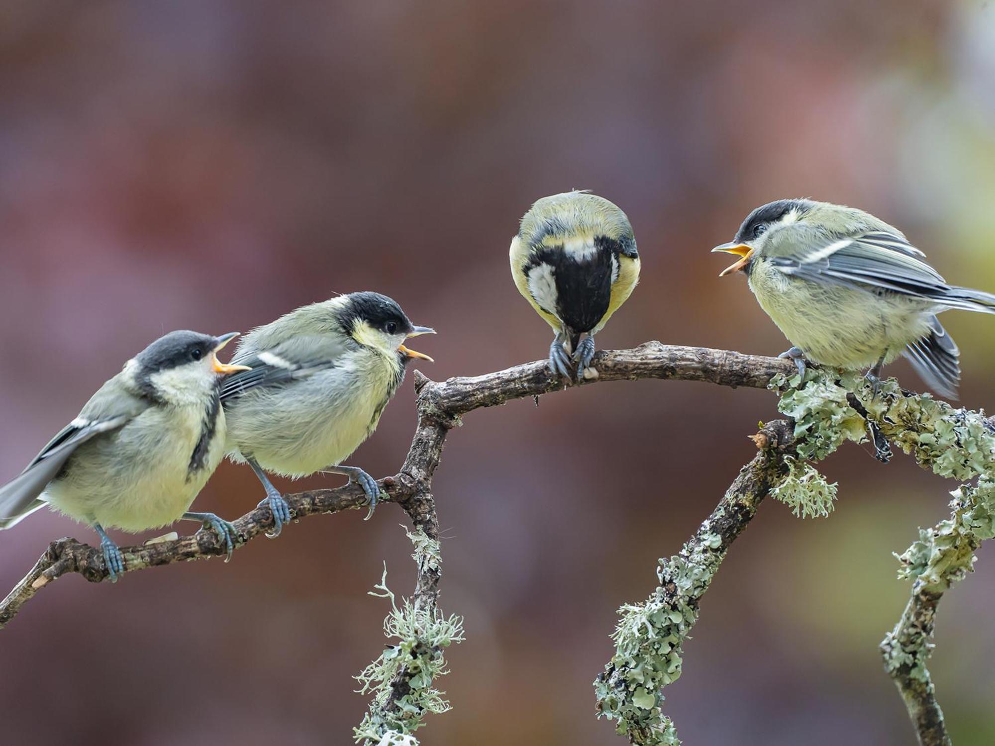 Wildwood B&B Lymington Bagian luar foto