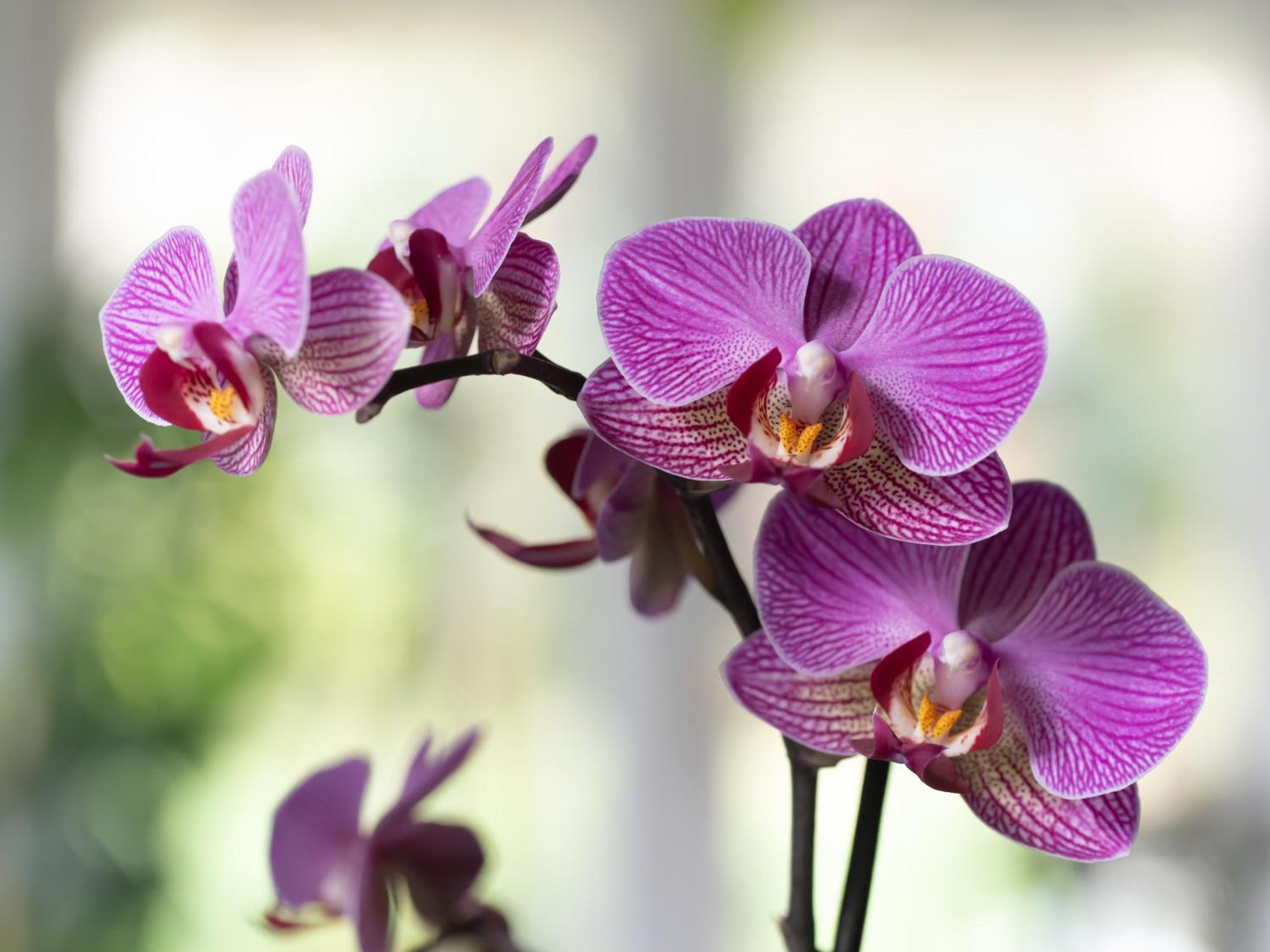 Wildwood B&B Lymington Bagian luar foto