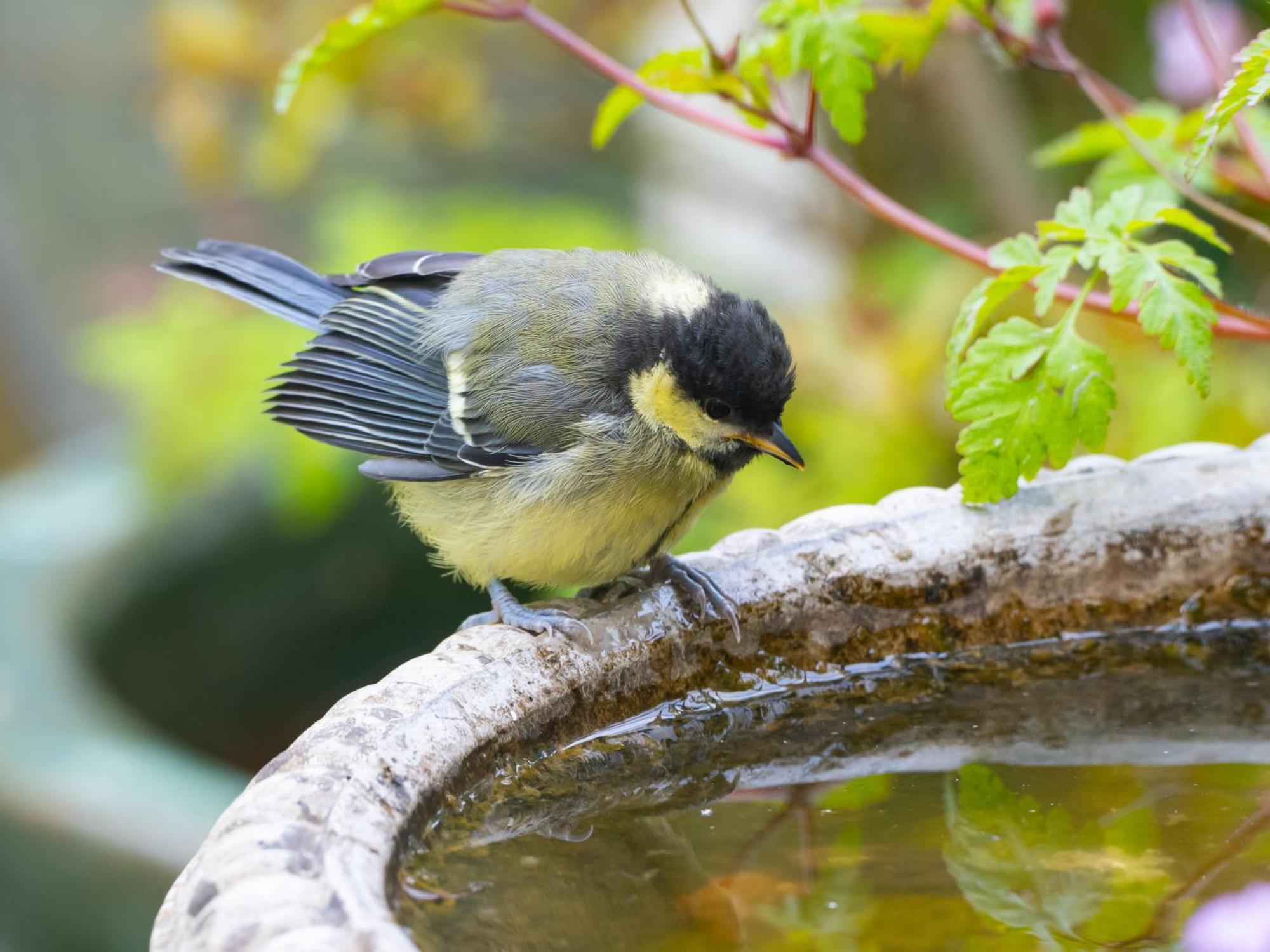 Wildwood B&B Lymington Bagian luar foto