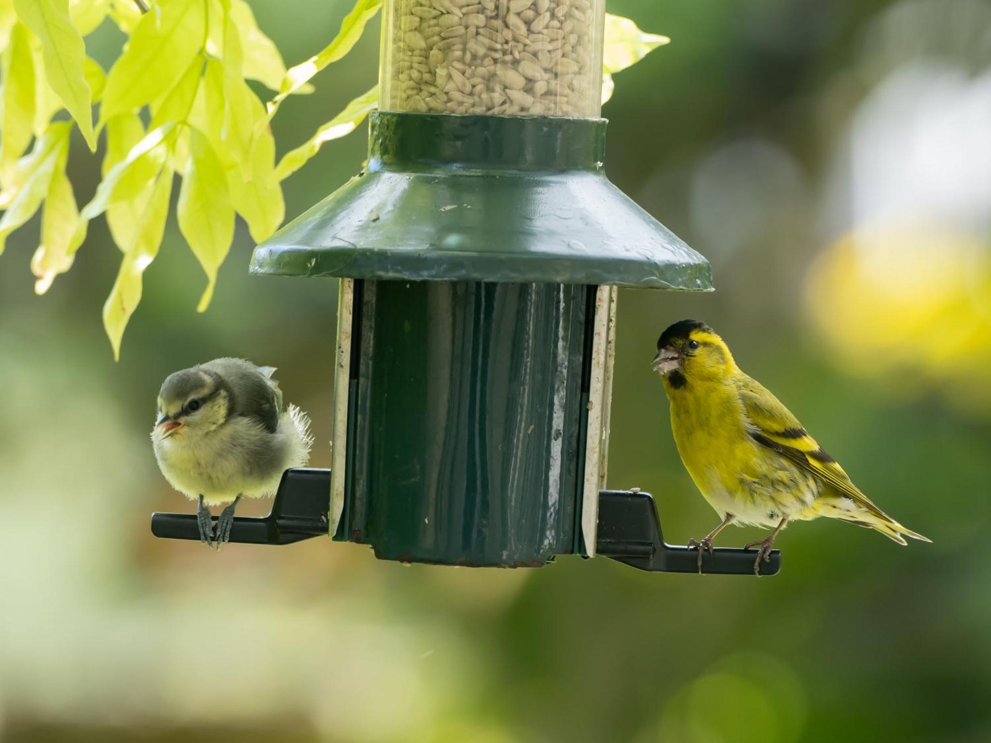 Wildwood B&B Lymington Bagian luar foto