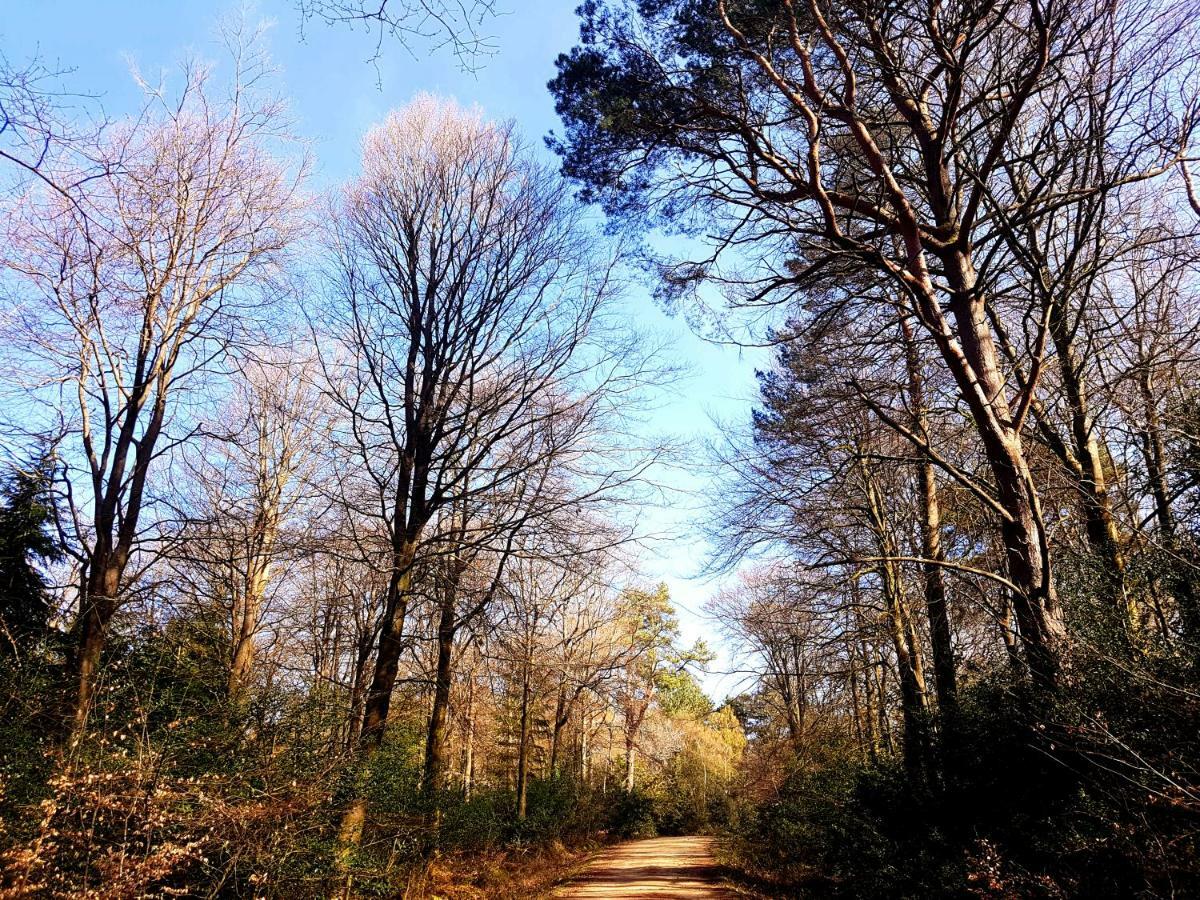 Wildwood B&B Lymington Bagian luar foto