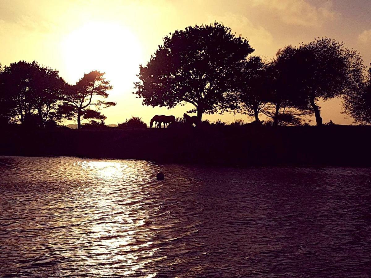 Wildwood B&B Lymington Bagian luar foto