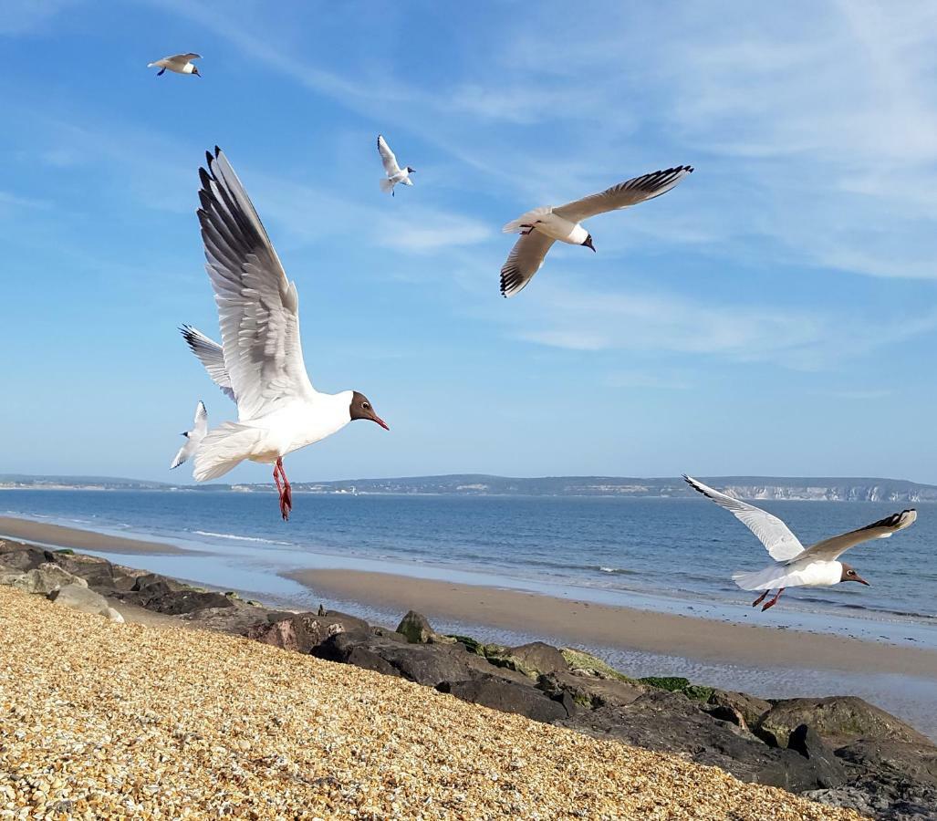 Wildwood B&B Lymington Bagian luar foto